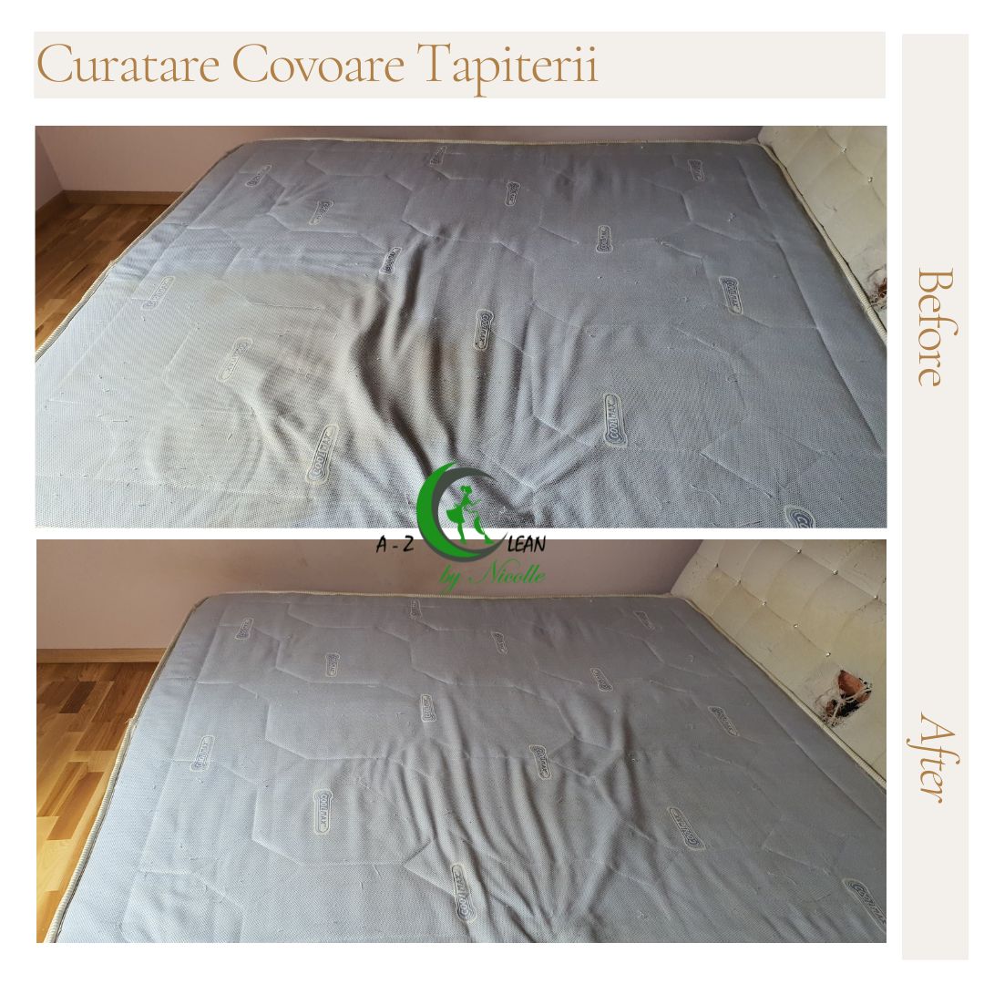 Saltea - Igienizare completă